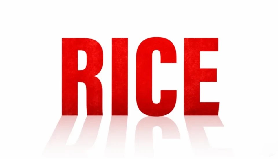 محصول مرموز RICE شیائومی چیست؟ سرنخ‌ها به دکلان رایس و جام جهانی ۲۰۲۶ می‌رسند